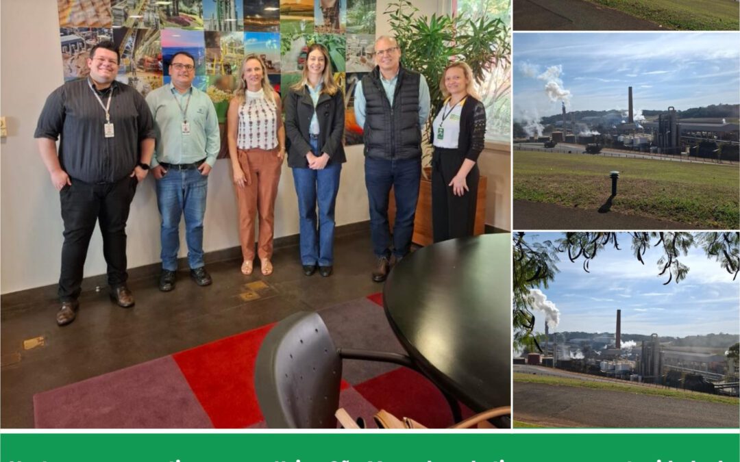 Visita a Usina São Manuel